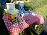 dscn0920.jpg